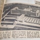 Singleton newspaper cutting 