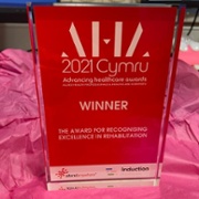 Lymphoedema Wales award plaque lr.jpg