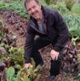 A man harvesting vegetables on a farm