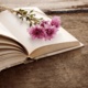 An image of an open book with flowers on top 