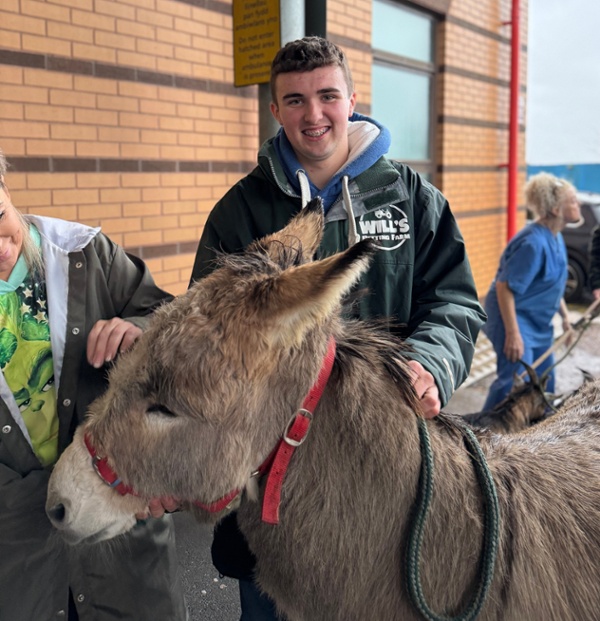 A women petting a donkey