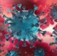 Colourised image of coronavirus under microscope
