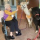 Patients meets alpaca