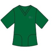 Healthcare support worker.jpg