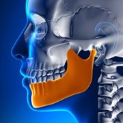 Jaw image