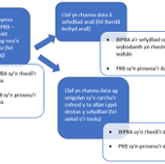 Data input or shared with SBUHB by the patient - image 1 CYM.png