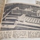 Singleton newspaper cutting 