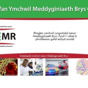 welsh wcemr