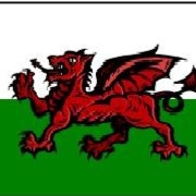 Welsh Dragon.jpg