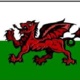 Y Ddraig Gymreig