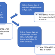 Data input or shared with SBUHB by the patient - image 2 CYM.png