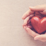 Services and support.jpeg