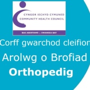 Orthopaedic Survey logo Welsh.jpg