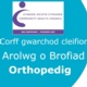 Logo ar gyfer yr Arolwg Profiad Cleifion Orthopedig