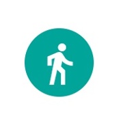 Walking Icon.jpg