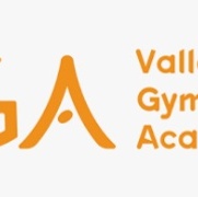 Valley Gymnastics.jpg