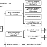 FOI 23-317 Previous DOCG Structure.jpg