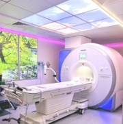 MRI_NHH2_cropped.jpg