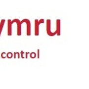 DEWIS Cymru.jpg