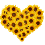 Wall of thanks 85.png