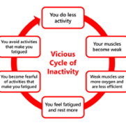 cycle_inactivity_eng.png