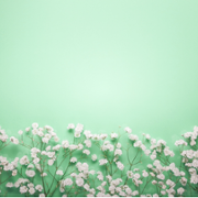 Wall of thanks 79.png