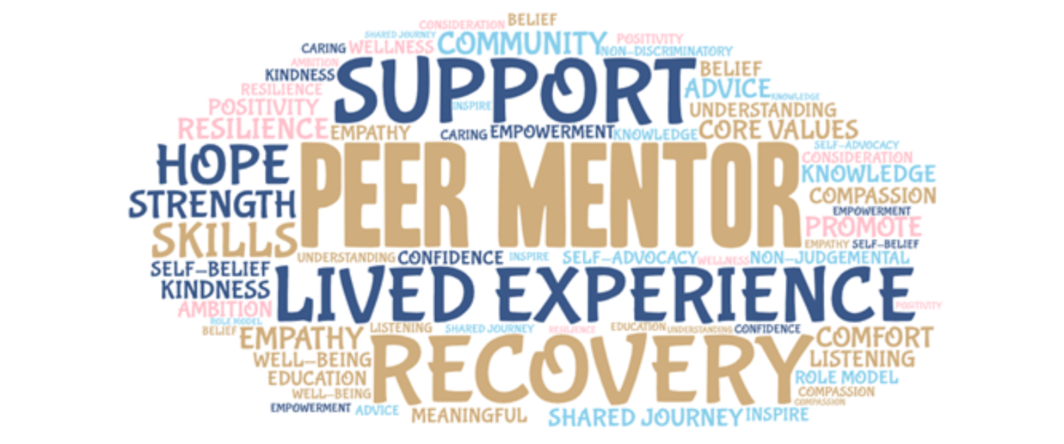 What is peer mentoring ? - University Health Board