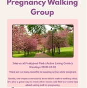 Pregnancy Walking Poster.jpg