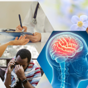 Memory Assessment Service  Banner (1500 x 600 mm).png