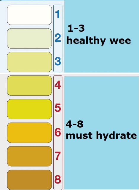 Urine Chart Aneurin Bevan University Health Board 2738