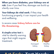 A5 Leaflet- Digital English.png