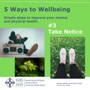 5 Ways to Well-being- 3.jpg