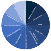 Orthoptic_Services_Pie_chart.png
