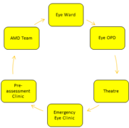 Ophthalmology_Nursing_Teams_chart.png