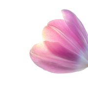 Wall of thanks 73.png