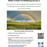 Wales Covid 19 Wellbeing Survey 2.jpg