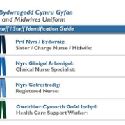 All_Wales_Nurses_and_Midwives_Uniforms.png
