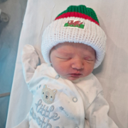St Davids Day Babies.jpg