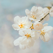 wall of thanks 105.png