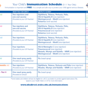 Immunisation Schedule.png