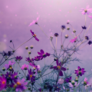 Wall of thanks 102.png