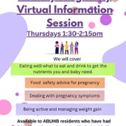 Healthy Pregnancy Virtual Information Session POSTER.jpg