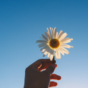 Wall of thanks 100.png