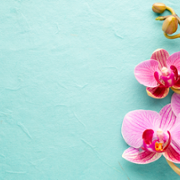 Wall of thanks 78.png