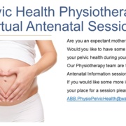 Pevic Health Physiotherapy Virtual Antenatal Session.jpg