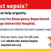 Sepsis screen E2.jpg