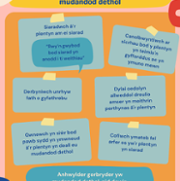 4.1 Top tips - adults working with CWSM_Welsh POSTER.png