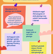 Top tips for parents - Welsh.png