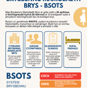 EMERGENCY MATERNITY TRIAGE - BSOTS WELSH.png