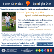 David Seren Sbotolau Spotlight Star Welsh.png